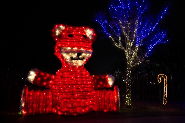 bear illuminated display at zoolights